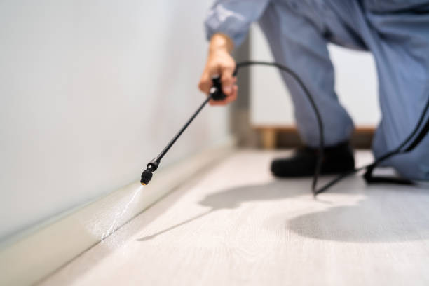 Best Flea Control Services  in Columbus, MN