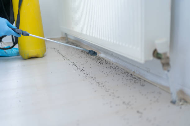 Best Pest Removal Services  in Columbus, MN