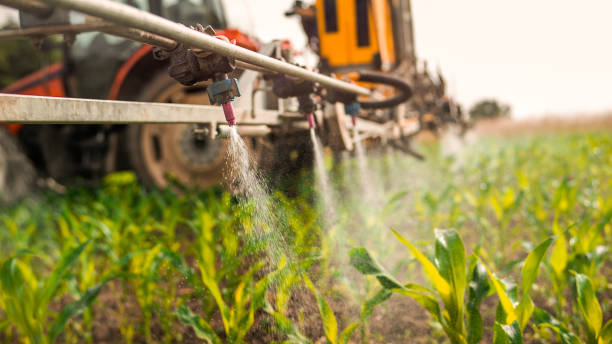 Best Pest Control for Businesses  in Columbus, MN